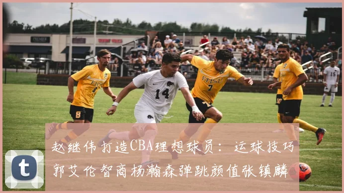 赵继伟打造CBA理想球员：运球技巧郭艾伦智商杨瀚森弹跳颜值张镇麟完美结合