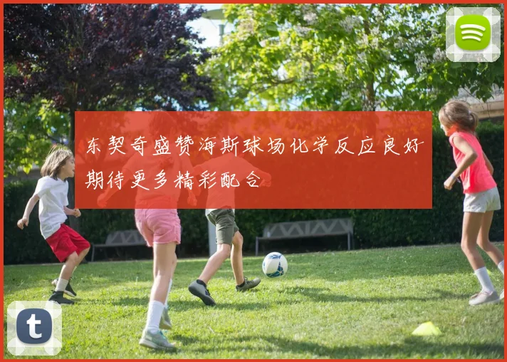 东契奇盛赞海斯球场化学反应良好期待更多精彩配合