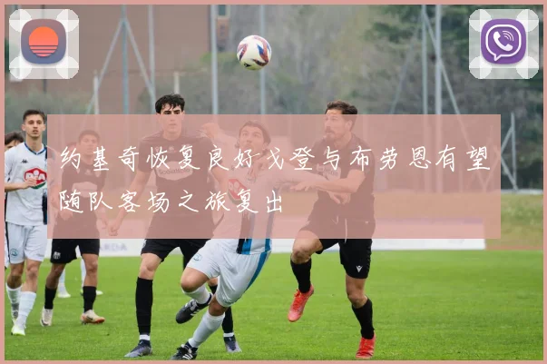 约基奇恢复良好戈登与布劳恩有望随队客场之旅复出